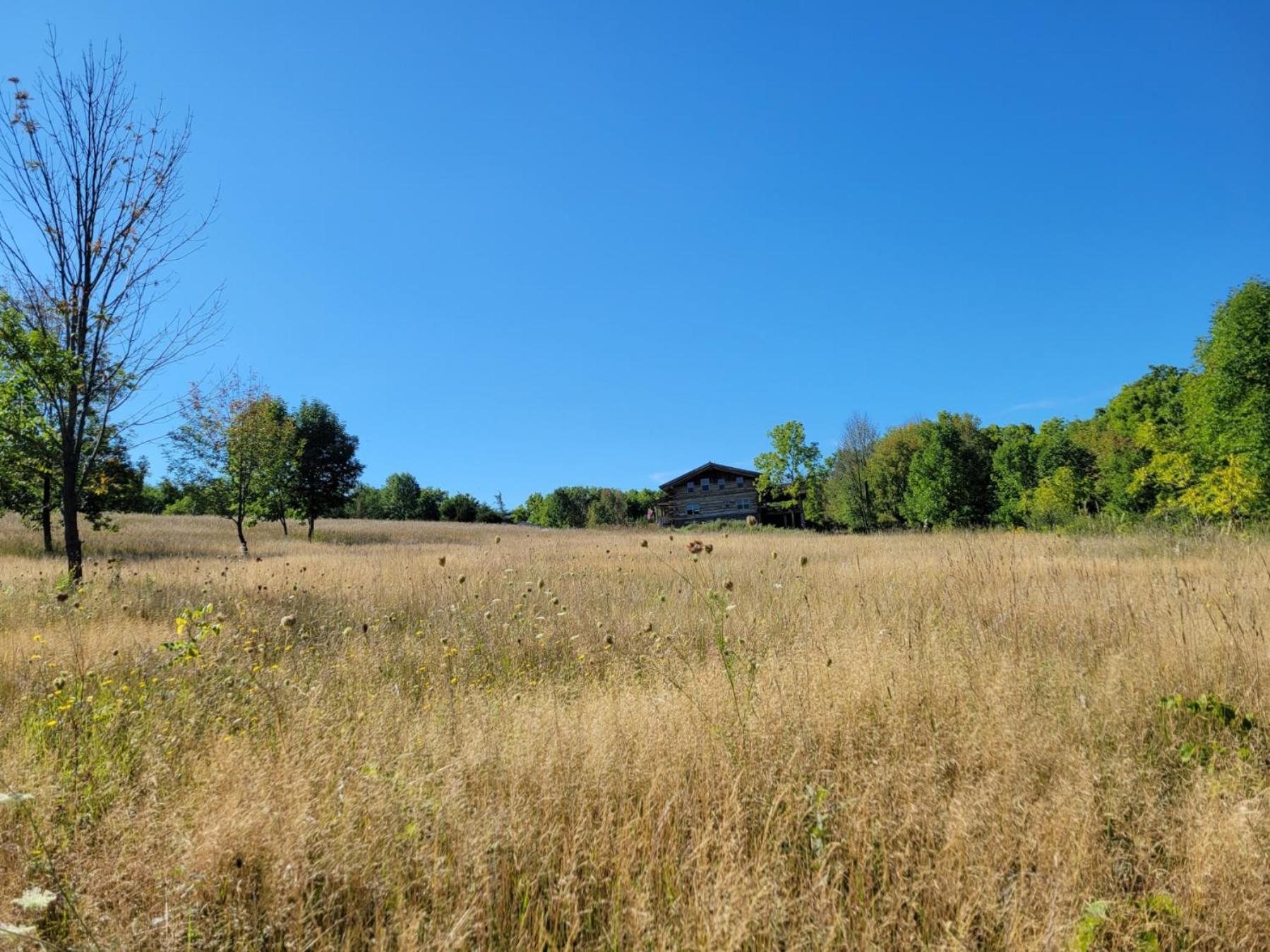 Firefly Creek Lodge Livonia Exterior photo